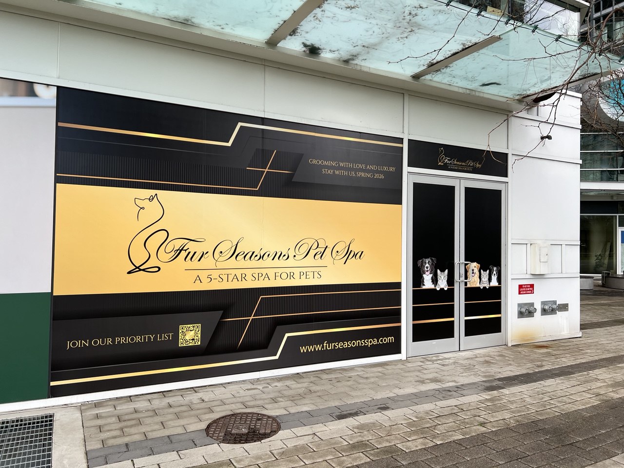 Premium Window Graphics for Luxury Brand Visibility